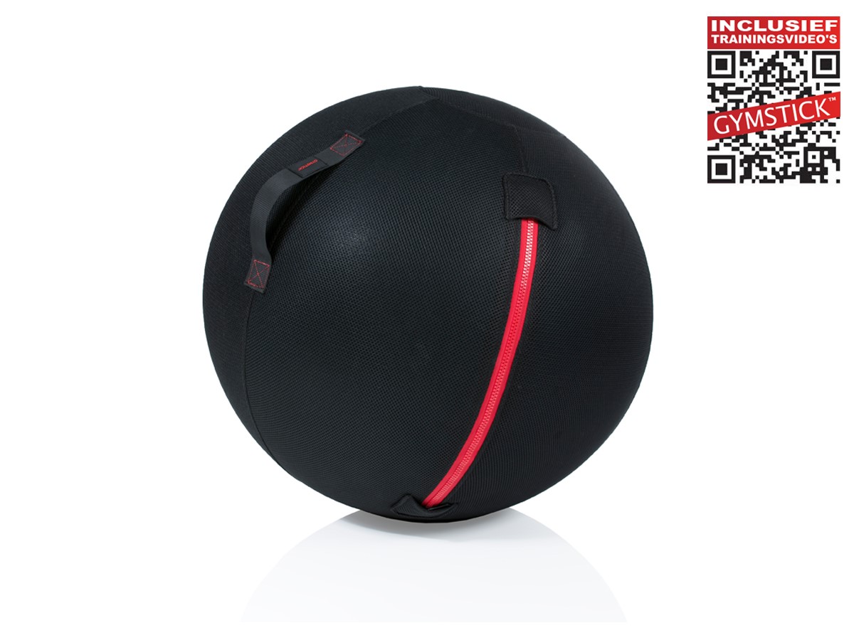 Gymstick Office Ball - 75 cm - Met Online Trainingsvideo's