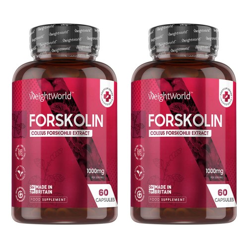 Forskolin Capsules - Natuurlijk Herbal Gewichtsbeheer Supplement - 90 Capsules - Duo Verpakking